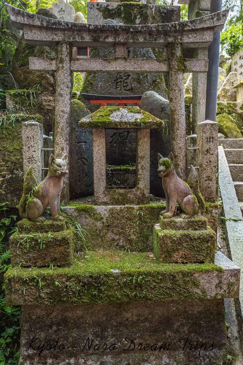 In Search of the "Hidden Waterfalls" along the "Bamboo Grove Path" of Fushimi Inari Taisha, Kyoto-Japan. Around the Kobo-ga-Taki shrine along the Takenoshita Michi or bamboo grove path on Mount Inari, Kyoto-Japan. Medieval Japan Aesthetic, Shinto Aesthetic, Kitsune Shrine, Shrine Aesthetic, Inari Temple, Japanese Altar, Inari Okami, Japan Shrine, First Quarter Moon