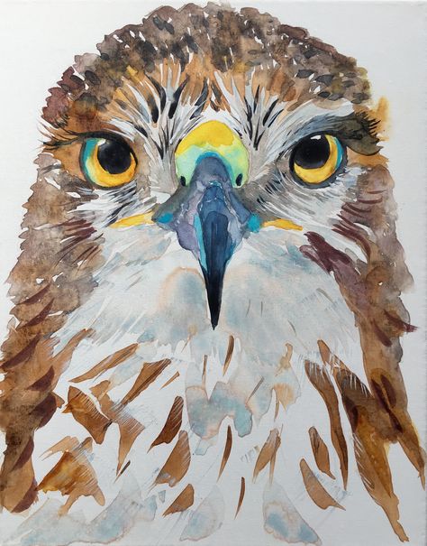 Hawk Watercolor Painting, Hawk Painting Acrylic, Watercolor Hawk, Hawk Painting, Hawk Art, Colorful Animal Paintings, Complex Art, Spirit Animal Art, Animal Art Prints