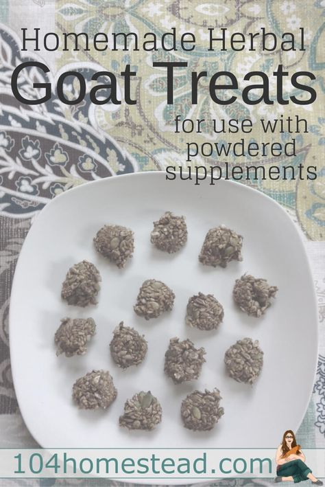 Goat Treats, Goat Playground, Goat Health, Keeping Goats, Goat Pen, Feeding Goats, Goat Care, Raising Goats, Pygmy Goat