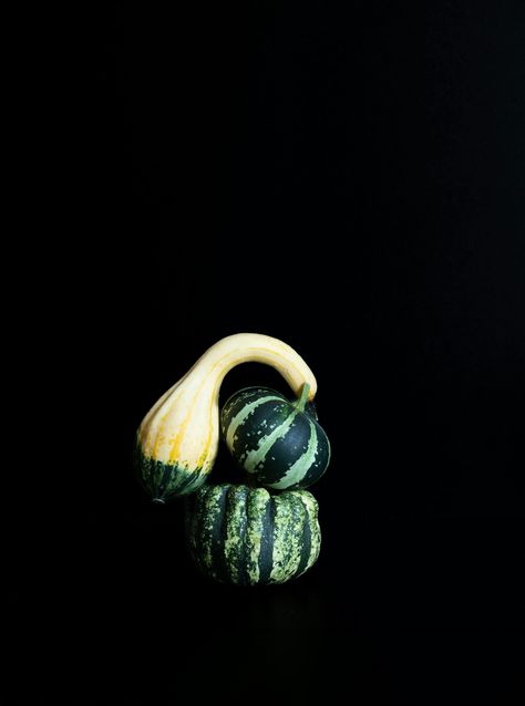 Thanks to Danielle Suijkerbuijk for making this photo available on @unsplash 🎁 Pumpkin Images, Decorative Gourds, Fall Images, Fruits Images, Green Pumpkin, Work Inspiration, Autumn Aesthetic, Simple Backgrounds, Fall Wallpaper