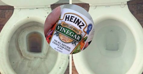 Do you have a ring around your toilet right now? Be honest. If you do, something in your home may get rid of that annoying and ugly ring very quickly! You don’t need expensive toilet cleaners. All you need is plain white vinegar that you probably already have in your pantry. It is non-toxic, natural, … More Vinegar In Toilet Tank, Using Vinegar To Clean, White Vinegar Cleaning, Toilet Cleaning Hacks, Toilet Ring, Toilet Stains, Homemade Cleaners Recipes, Vinegar Cleaner, Cleaner Recipes