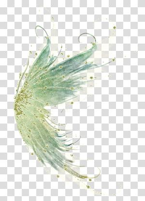 Fairy Wings Transparent Background, Fairy Transparent Background, Wings For Editing, Fairy Wings Png, Fairycore Png, Winx Wings, Bird Fairy, Green Fairy Wings, Fairy Png