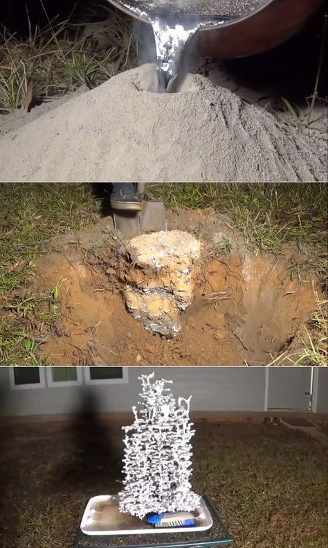 ant mound art | Casting A Fire Ant Colony’s Tunnels w/ Molten Aluminum « Free ... Ant Hill Art, Fire Ant, Ant Hill, Aluminum Casting, Art Pouring, Ant Colony, Woodworking Tools Workshop, Fire Ants, Melting Metal