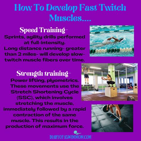 Fast Twitch Muscle Workout, Swim Technique, Muscle Twitching, Muscle Workout, Basic Workout, Long Distance Running, Speed Training, Work Outs, 30 Day Challenge