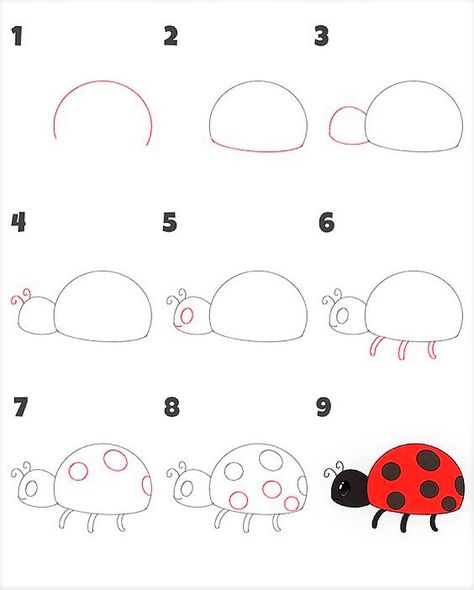 Children will know how to draw the most simple and easy to understand beetle How To Draw Beetle, Beetle Drawing Simple, Beetles Drawing, Beetle Cartoon, Beetle Drawing, Drawing Simple, Cartoon Drawing, Drawing Easy, Learn How To Draw