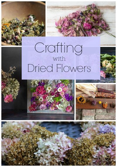 Dried Flowers Ideas Decor Wall Art, Dried Flower Arrangements Home Decor, Aesthetic Origami, Dried Flower Crafts, Dried Flower Display, Flower Craft Ideas, Craft Ideas For Beginners, Dried Flowers Crafts, Pressed Flowers Diy