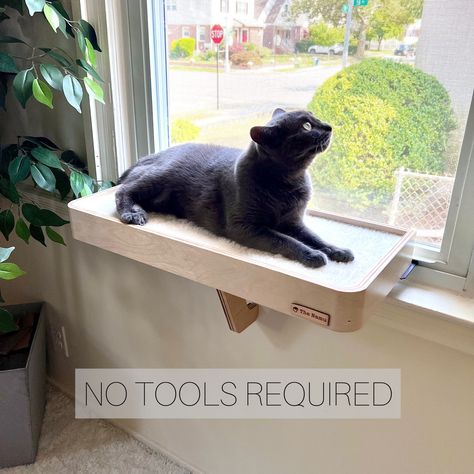 Cat Ledge Window, Cat Shelf Window, Diy Cat Window Perch, Cat Window Shelf, Cat Window Seat, Cat Area, Window Shelf, Cat Window Perch, Window Perch