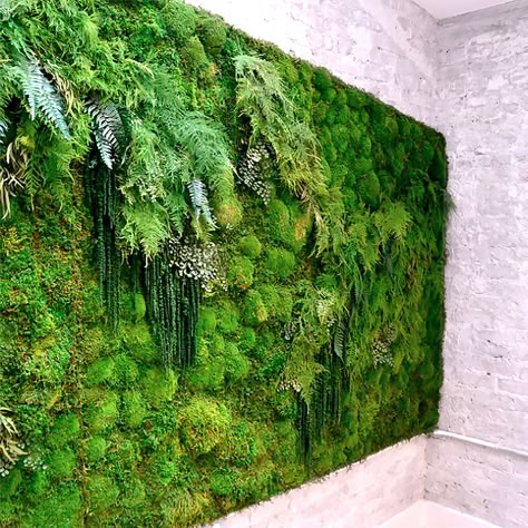 Mos Wand, Vertical Garden Indoor, Vertical Vegetable Garden, Vertical Garden Wall, Vertical Garden Diy, Moss Wall Art, Moss Garden, Walled Garden, Moss Art