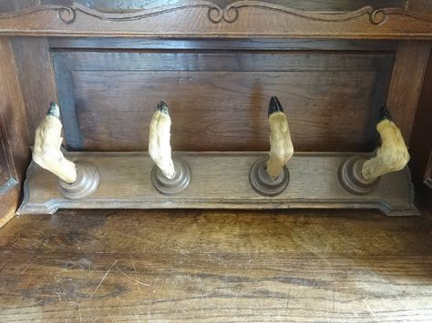 Vintage French deer hoof rack coat gun hook rack hanger taxidermy hunting trophy den lodge rustic rural decor circa 1960-70's Purchase in store here http://www.europeanvintageemporium.com/product/vintage-french-deer-hoof-rack-coat-gun-hook-rack-hanger-taxidermy-hunting-trophy-den-lodge-rustic-rural-decor-circa-1960-70s/ Deer Hooves, Deer Hoof, Taxidermy Deer, Antler Ideas, Hook Rack, Taxidermy, Vintage French, Antlers, Coat Rack