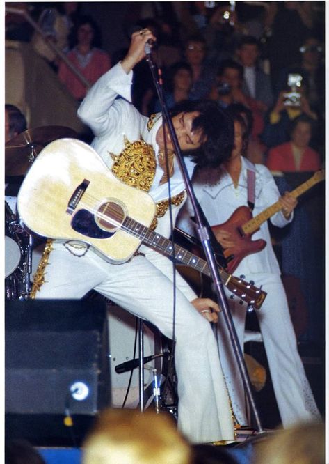 What is the least flattering photo you've ever seen of Elvis Presley? - Quora Unchained Melody, Charlotte Nc, Elvis Presley, Rock And Roll, Flash, Actors, Concert