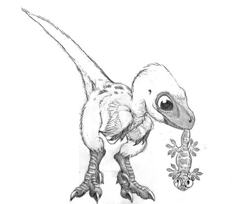 Oh my god that is too cute!! __ Sketch for baby velociraptor by Psithyrus Animal Mix Ups Drawing, Velociraptor Drawing Cute, Cute Raptor Drawing, Velociraptor Tattoo Cute, Dinosaur Sketch Cute, Dinasors Drawing, Baby Dinosaur Drawing, Raptor Drawing, Velociraptor Drawing