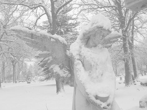 Poison Tree, Angelic Aesthetic, Nate River, White Goth, Period Piece, Winter Princess, Angel Statue, Snow Princess, Cinnamon Girl