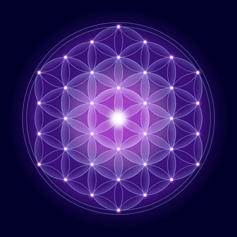 Flower Of Life Meaning, Egg Of Life, Flower Of Life Symbol, The Flower Of Life, Sacred Geometry Symbols, Flower Symbol, Fibonacci Spiral, Geometric Symbols, Platonic Solid