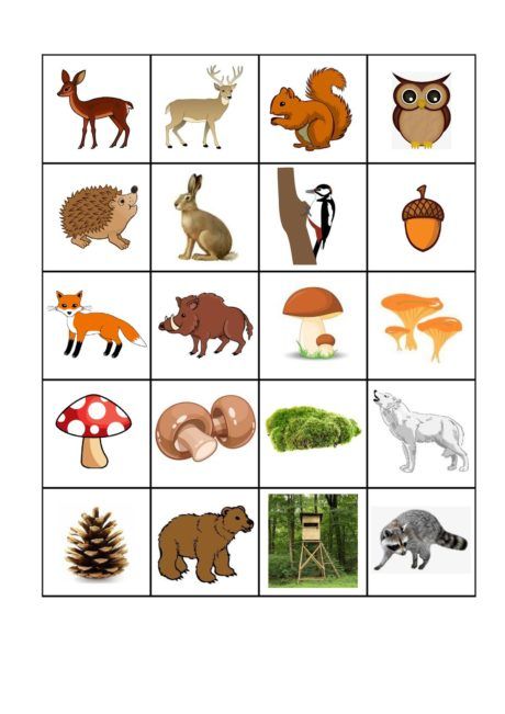 Ansaugspiel "Wald" - Mundmotorik - madoo.net Forest Animals Preschool, House Drawing For Kids, Beach Sketches, Animal Activities For Kids, Math Patterns, Fall Kindergarten, Free Puzzles, Wood Animal, Hidden Pictures