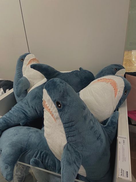 Big Shark Plush, Weighted Shark Plush, Shark Plushie Ikea, Cute Shark Plush, Shark Bedroom Aesthetic, Shark Stuffy, Cute Shark Stuff, Blajah Shark, Shark Room Aesthetic