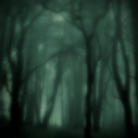 Creepy Green Aesthetic, Green Goth Aesthetic, Green Grunge Aesthetic, Speed Songs, Alt Aesthetic, Aesthetic Goth, Dark Green Aesthetic, Gothic Aesthetic, Baby Music