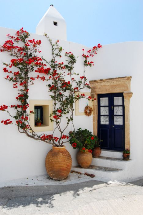 spanish courtyard Sideyard Makeover, Spanish Bungalow, Have Inspiration, Bougainvillea, Spanish Style, Hidden Gem, Algarve, Red Flowers, A House