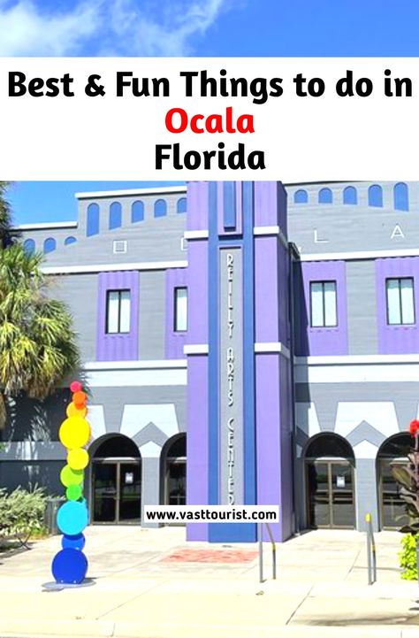 Best and Fun things to do in Ocala Florida 
Fun places to visit in Ocala Florida 
What to do in Ocala Florida 
Ocala best attractions
Ocala Florida Things To Do In Ocala Florida, Ocala Florida Things To Do, Ocala National Forest, Florida Trips, Travel Destinations Usa, Ocala Florida, Florida Trip, Vacation Usa, Florida Living