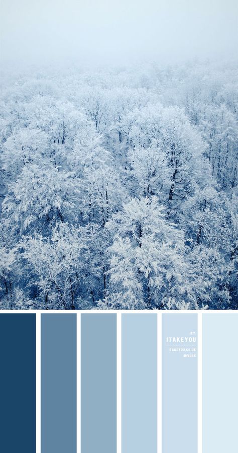 Blue Winter Colour Palette { Shades Of Blue Colour Scheme } Blue Colour Scheme, Blue Shades Colors, Powder Blue Color, Wedding Readings, Winter Color Palette, Color Schemes Colour Palettes, Blue Palette, Blue Color Schemes, Blue Colour Palette