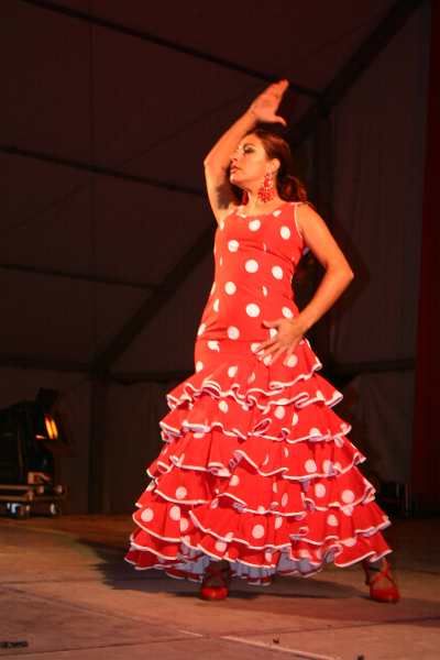 Spain Traditional Dress, Flamenco Fashion, Spanish Outfits, Spain Outfit, Spanish Clothing, Spanish Dress, Flamenco Dress, Culture Day, Traditional Dress