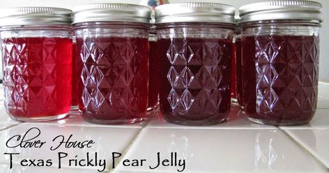 Cactus Apple Jelly, Prickly Pear Jalapeno Jelly, Cactus Jelly, Pear Jelly Recipes, Prickly Pear Jelly, Canning Jelly, Prickly Pear Recipes, Pear Jelly, Cactus Recipe