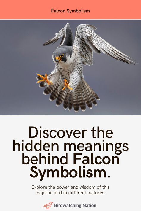 Dive into the mystery of Falcon symbolism and discover how encountering this powerful bird can signal profound changes and insights in your life. Falcon Symbolism, Deep Symbols, Native American Rituals, Bird Symbolism, Falcon Feather, Animal Meanings, Symbols Of Freedom, Egyptian Culture, Warrior Spirit