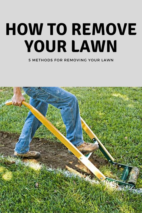 If you have an ornamental lawn, you should consider removing and replanting this area to save water and increase bio-diversity of your garden. Once you have decided to do this, the first step is removing your lawn. Here are the 5 most common methods for doing this. How To Redo Your Lawn, Remove Weeds From Lawn, Remove Grass From Yard, How To Reseed Your Lawn, How To Remove Grass For Garden, Removing Grass For Garden, Removing Grass Landscaping, Remove Grass For Garden, How To Remove Grass For Landscaping