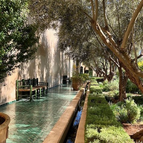 ✨ Monday Monument: The Secret Garden, Marrakech ✨ Tucked away in the heart of Marrakech’s bustling medina, the Secret Garden is a serene oasis that feels like stepping into a hidden paradise. 🌿🌸 With its lush greenery, tranquil fountains, and centuries-old architecture, this beautifully restored garden offers a peaceful retreat from the city’s vibrant energy. Explore the magic of Marrakech through the beauty and history of this enchanting space. Discover the hidden gems of Morocco with us,... The Oasis, The Secret Garden, Architecture Old, Hidden Gems, Marrakech, Secret Garden, Morocco, Oasis, Monument