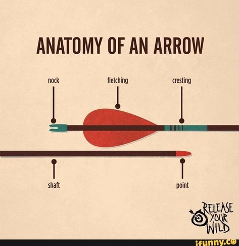 ANATOMY UF AN ARROW – popular memes on the site iFunny.co #arrow #tvshows #writers #writing #help #anatomy #uf #an #arrow #pic Archery Tips, Archery Bows, Traditional Archery, Archery Hunting, An Arrow, Book Writing Tips, Story Writing, Survival Tips, Writing Help