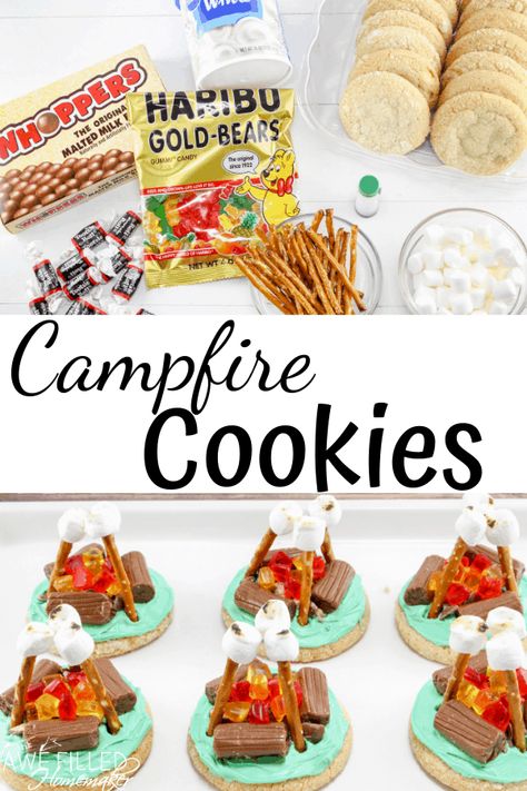 Edible Fire, Trail Life Usa, Campfire Cookies, Cottage Party, Campfire Snacks, Smores Party, Theme Snack, Trail Life, Camping Classroom