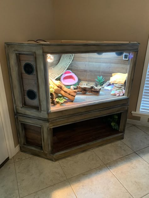 Diy Bearded Dragon Enclosure Decor, Diy Reptile Enclosure Furniture, Bearded Dragon Tank Ideas, Diy Bearded Dragon Cage, Diy Bearded Dragon Enclosure, Bearded Dragon Vivarium, Bearded Dragon Terrarium Ideas, Snake Cage, Bearded Dragon Diy