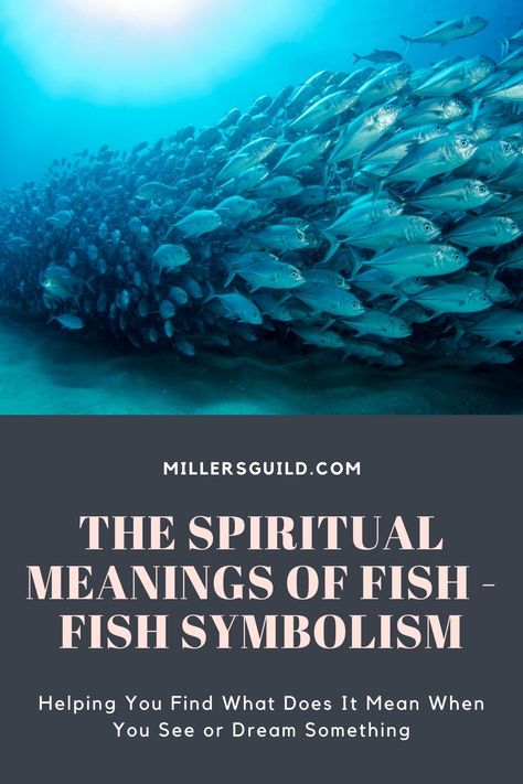 The Spiritual Meanings of Fish – Fish Symbolism Animals Symbolism, Fish Symbolism, Giant Fish, Fish Symbol, Creation Myth, Animal Symbolism, Fear Of The Unknown, Fish Fish, Rainbow Fish