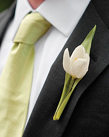 Green Kermit mums mixed with fresh leaves and berries wedding flower boutonniere, groom boutonniere, groom flowers, add pic source on comment and we will update it. Description from pinterest.com. I searched for this on bing.com/images Single Tulip, Simple Boutonniere, Tulip Wedding, Spring Wedding Inspiration, Groom Boutonniere, Boutonniere Wedding, White Tulips, Martha Stewart Weddings, Groom And Groomsmen