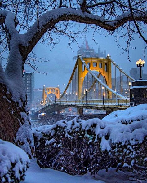 ✨ Christmas Girl ✨’s Instagram post: “Cold, Wintery night in Pittsburgh, Pennsylvania ❄️❄️❄️ #christmastrees #christmasvibes #christmaslove #christmasmagic #christmascountdown…” Visit Pittsburgh, Pittsburgh City, New York Life, Wallpaper Iphone Christmas, Pittsburgh Pennsylvania, Winter Is Here, George Washington Bridge, City Aesthetic, Winter Landscape