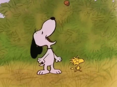 Snoopy Estoy GIF - Snoopy Estoy Woodstock - Discover & Share GIFs Snoopy Gifs, Gifs Snoopy, Snoopy Videos, Woodstock Snoopy, Eating Chocolate, Snoopy Comics, Snoopy Funny, Snoopy Images, Peanuts Cartoon