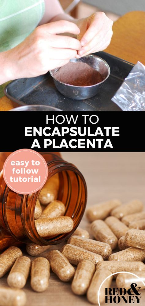 Placenta Smoothie Recipe, Placenta Smoothie, Diy Placenta Encapsulation, Placenta Tincture, Placenta Recipes, Anterior Placenta Movement, Benefits Of Placenta Encapsulation, Abruptio Placenta Nursing, Placenta Encapsulation