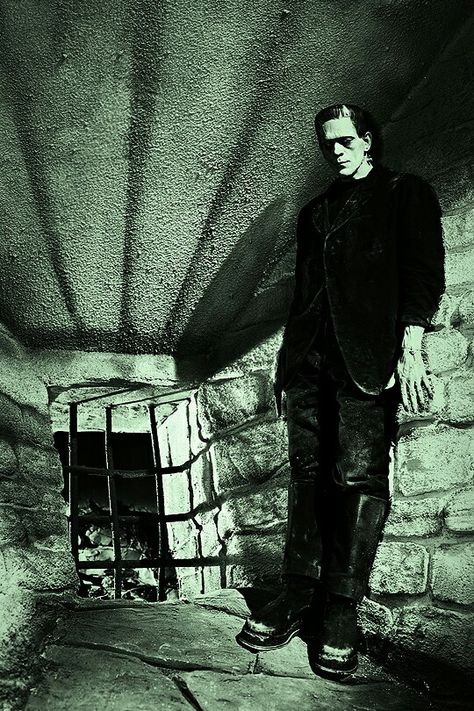 Frankenstein's Monster Real Life Horror Stories, Frankenstein 1931, Hammer Horror Films, Boris Karloff, Horror Monsters, Frankenstein's Monster, Horror Show, Universal Monsters, Classic Monsters