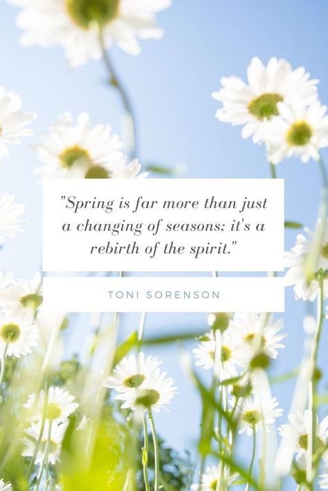 Springtime Quotes, Russian Proverb, Green Traffic Light, Margaret Elizabeth, Gustav Mahler, George Santayana, Spring Quotes, Joy Quotes, Beginning Of Spring