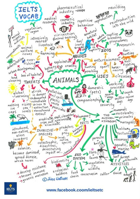 I've made this mind map to help my IELTS students learn the essential vocabulary they need to help them understand and be able to talk about the common umbrella topic of animals. English Mind Map, Environment Mind Map Art, Ielts Vocabulary, Ielts Test, Mind Map Art, Mental Map, Ielts Writing, English Teaching Materials, Vocabulary Lessons