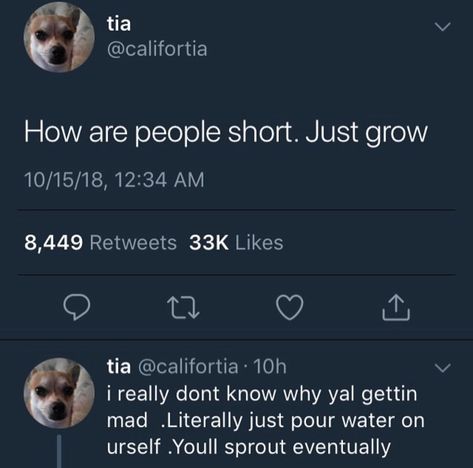 Short People Memes Funny Hilarious, Short Height People Memes, Short People Memes Hilarious, Making Fun Of Short People, Short Height Quotes, Short People Memes Funny, How To Talk To Short People Ship, Tall People Memes, Tall People Jokes