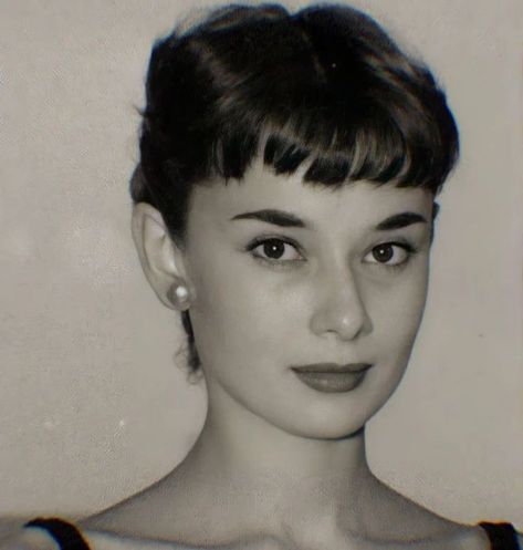 Audrey Hepburn Pixie, Audrey Hepburn Hair, Audrey Hepburn Outfit, Audrey Hepburn Born, Aubrey Hepburn, Audrey Hepburn Photos, Baby Bangs, Audrey Hepburn Style, Actrices Hollywood