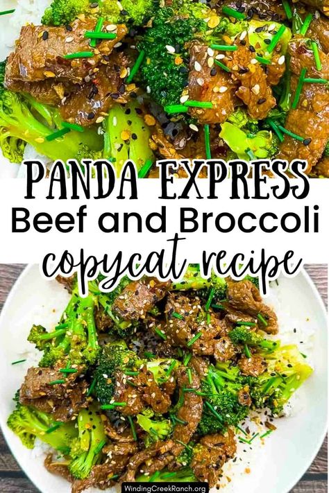 Panda Express Beef and Broccoli (Copycat Recipe) Panda Express Beef And Broccoli, Beef With Broccoli Recipe, Panda Express Recipes, Love Panda, Chow Mein Recipe, Teriyaki Beef, Asian Beef, Beef And Broccoli, Copykat Recipes