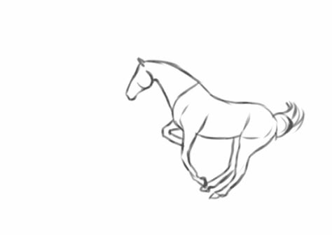 Horse Animation Gif, Horse Running Animation, Horse Sketch Art, Horse Gif, Horse Base, Horse Drawing Tutorial, Animal Animation, Horse Animation, Manga Ideas