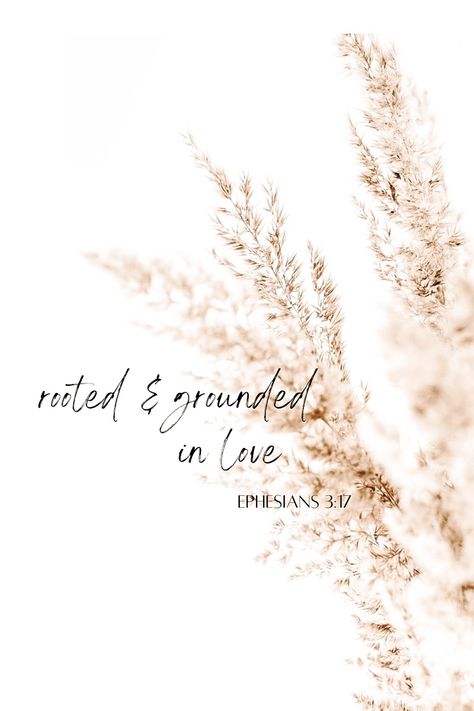 Bible verse Rooted In Faith, Bible Verse About Being Grateful, Biblical Healing, Renewal Quotes, Gods Truth, Ephesians 3 17, Rooted In Christ, Bible Verse Background, Healing Affirmations