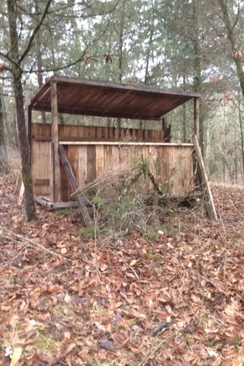 Deer hunting blind made from pallets! Free hunting blind! Homemade Deer Blinds, Duck Blinds, Duck Hunting Blinds, Deer Hunting Stands, Deer Blinds, Shooting House, Blind Ideas, Hunting Ideas, Deer Feeders