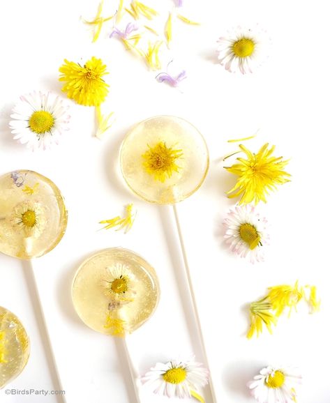 Honey & Lemon Floral Lollipops Recipe - BirdsParty.com Lollipops Recipe, Lollipop Recipe, Daisy Party, Spring Tea, Dandelion Recipes, Honey Recipes, Homemade Candies, Köstliche Desserts, Flower Food