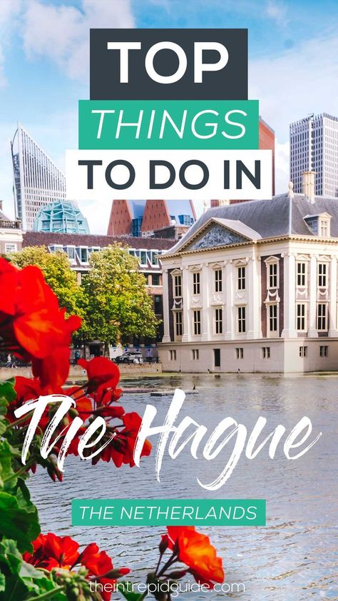 top things to do in the hague netherlands guide #hague #netherlandstravel #europe #thingstodo #travelguide #traveltips #bucketlist #destinations #travel #holland Netherlands Travel Destinations, Travel Holland, Travel Phrases, The Hague Netherlands, Digital Photography Lessons, Destinations Travel, Netherlands Travel, Amsterdam Travel, Photography Lessons