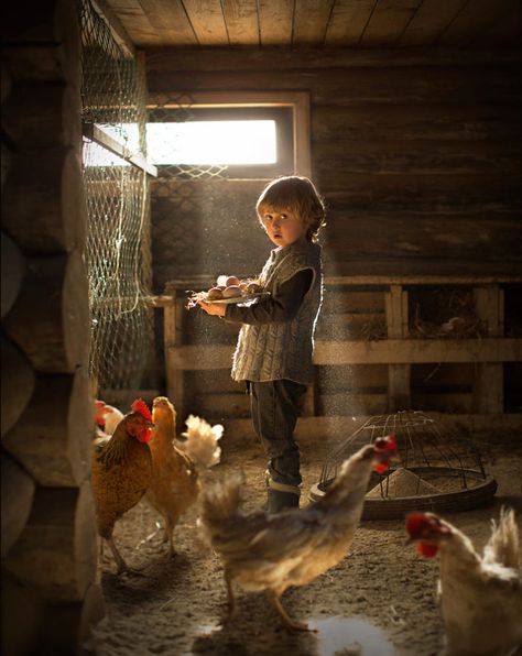 My youngest helper on the farm... by Elena Shumilova / 500px Chicken Boy, Toddler Photoshoot, Country Chicken, Farm Lifestyle, Farm Photography, Outdoor Pictures, Baby Boy Photography, Farm Photo, Country Kids