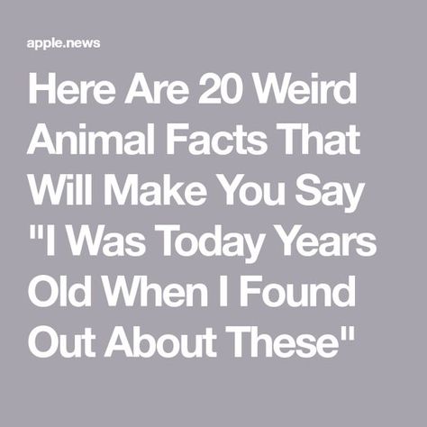 Weird Facts About Animals, Today Years Old Facts, I Was Today Years Old When I Found Out, Weird Animal Facts, I Was Today Years Old, Today Years Old, You Just Realized, Animal Facts, Old Quotes