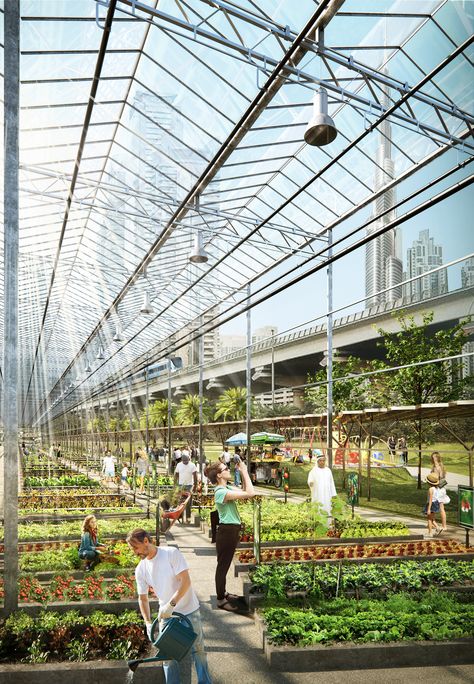 Urban Farming Architecture, Agriculture Design, Modern Agriculture, Walkways Paths, Vertical Farming, Future Farms, Urban Agriculture, Path Design, Agriculture Education